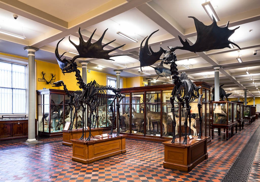 National Museum of Ireland